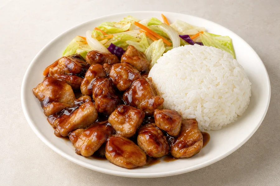 Teriyaki rice bowl close-up